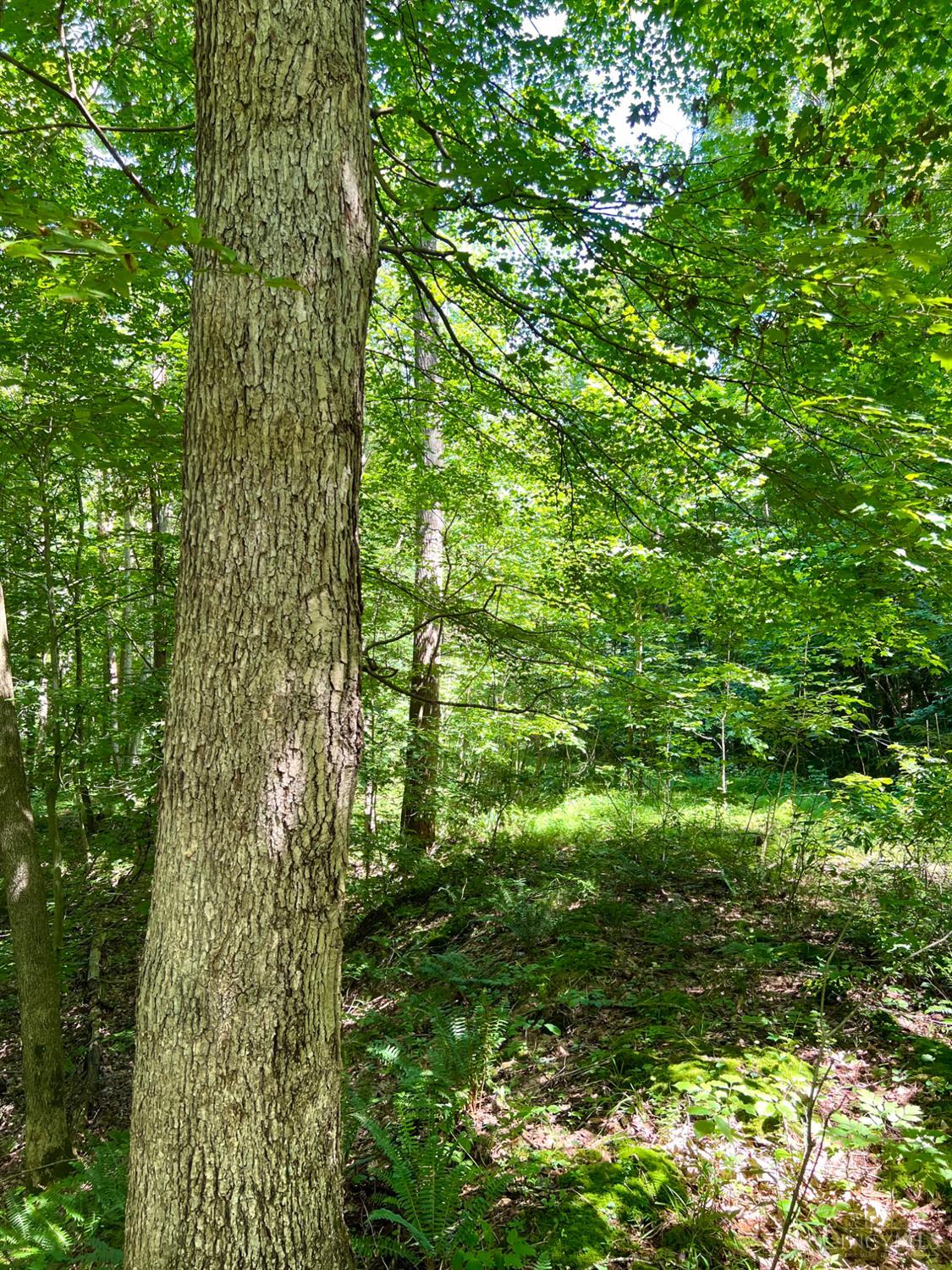 S Side Chenoweth Fork Road, Sunfish Twp, OH, 45660 — photo 65