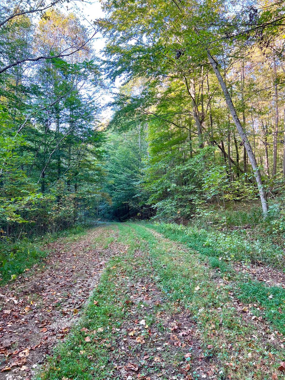 S Side Chenoweth Fork Road, Sunfish Twp, OH, 45660 — photo 89