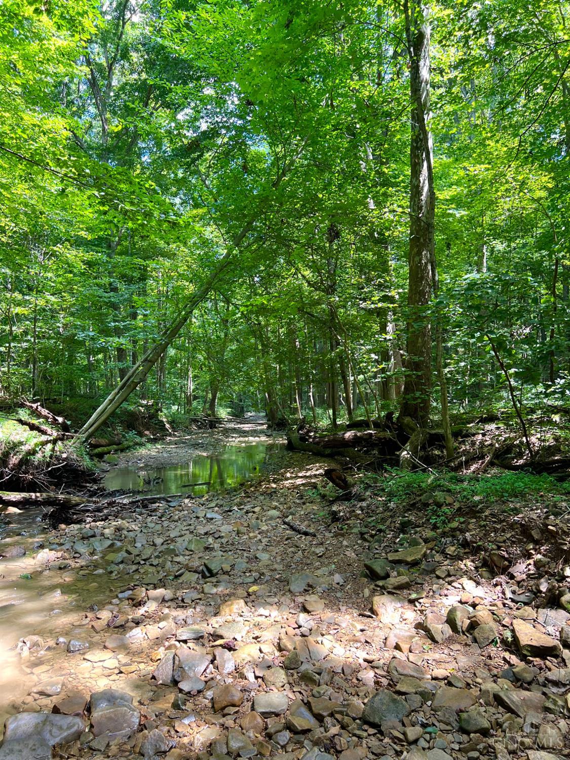S Side Chenoweth Fork Road, Sunfish Twp, OH, 45660 — photo 72