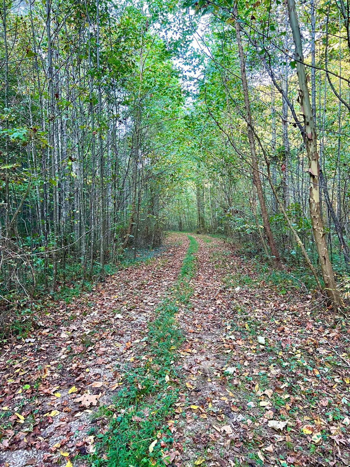 S Side Chenoweth Fork Road, Sunfish Twp, OH, 45660 — photo 90