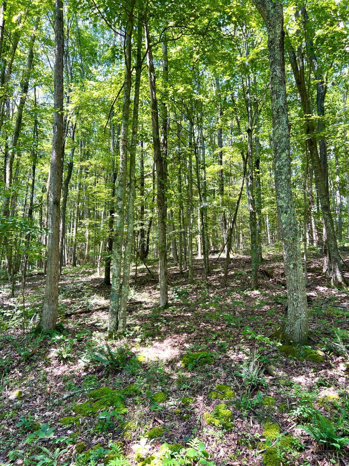 S Side Chenoweth Fork Road, Sunfish Twp, OH, 45660 — photo 60