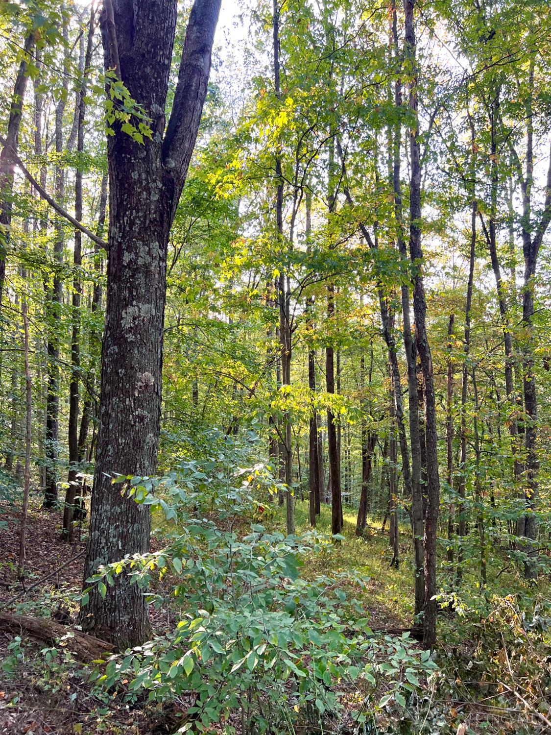 S Side Chenoweth Fork Road, Sunfish Twp, OH, 45660 — photo 86
