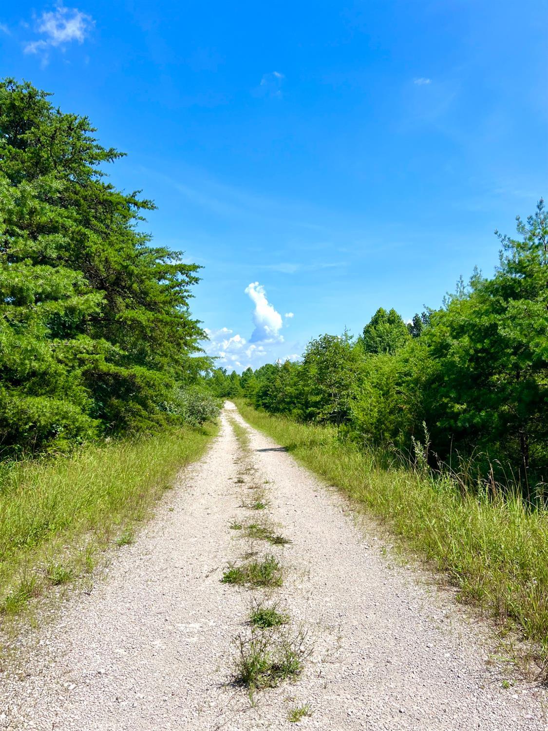 S Side Chenoweth Fork Road, Sunfish Twp, OH, 45660 — photo 59