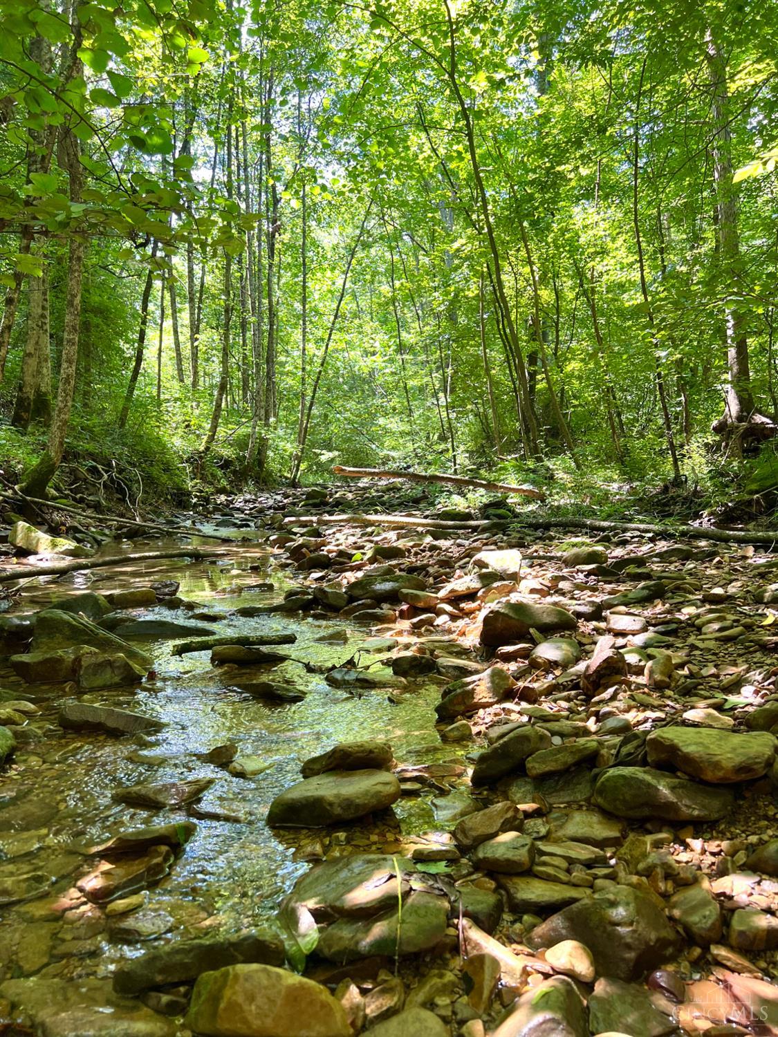 S Side Chenoweth Fork Road, Sunfish Twp, OH, 45660 — photo 5