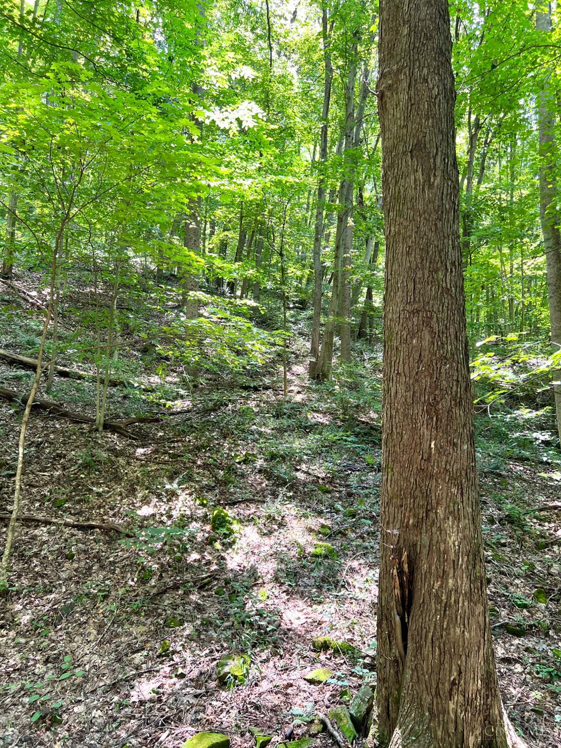 S Side Chenoweth Fork Road, Sunfish Twp, OH, 45660 — photo 77
