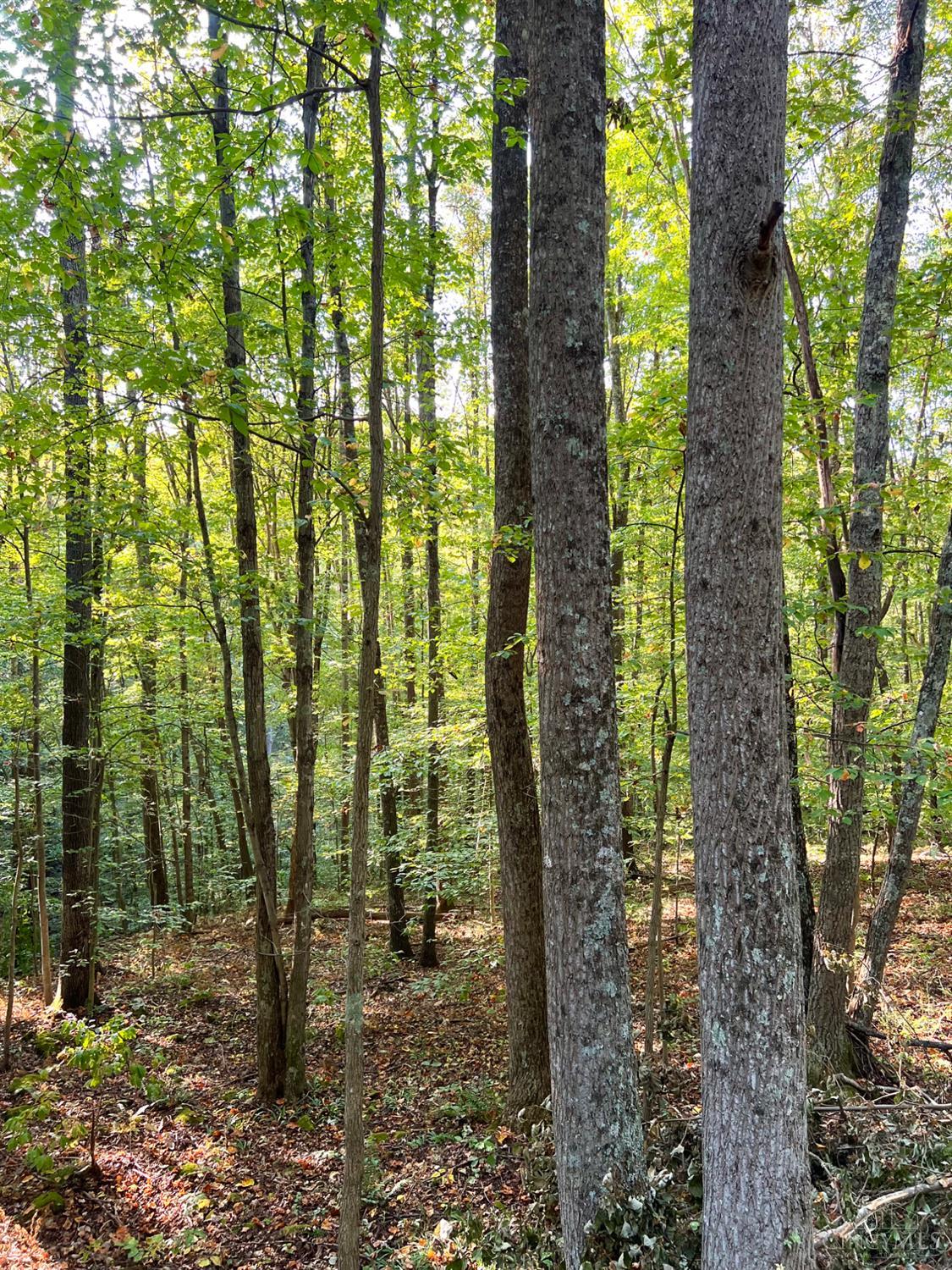 S Side Chenoweth Fork Road, Sunfish Twp, OH, 45660 — photo 88
