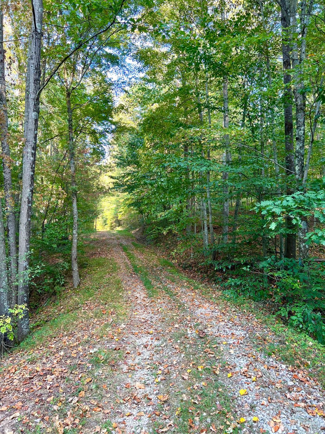 S Side Chenoweth Fork Road, Sunfish Twp, OH, 45660 — photo 15