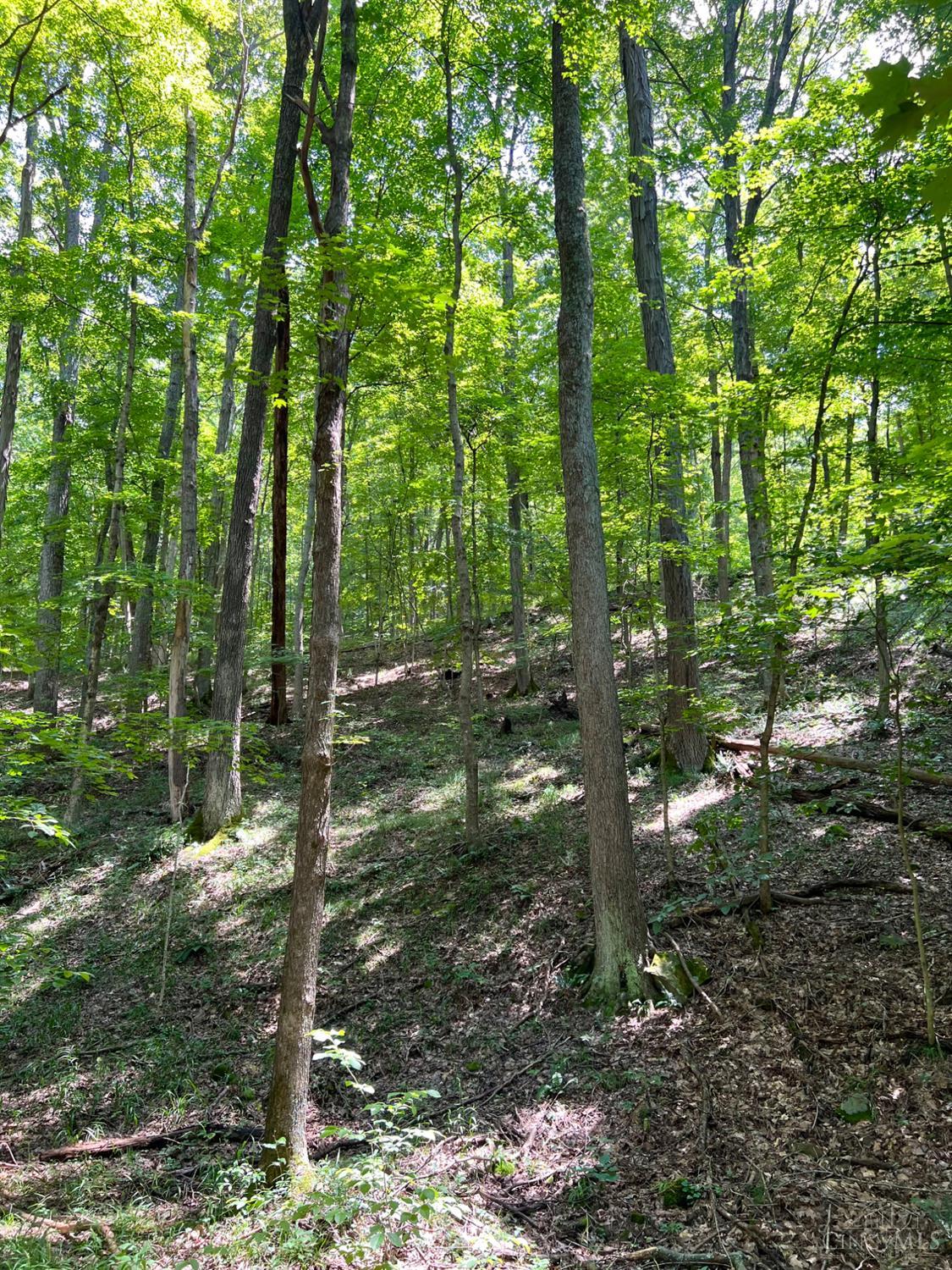 S Side Chenoweth Fork Road, Sunfish Twp, OH, 45660 — photo 76