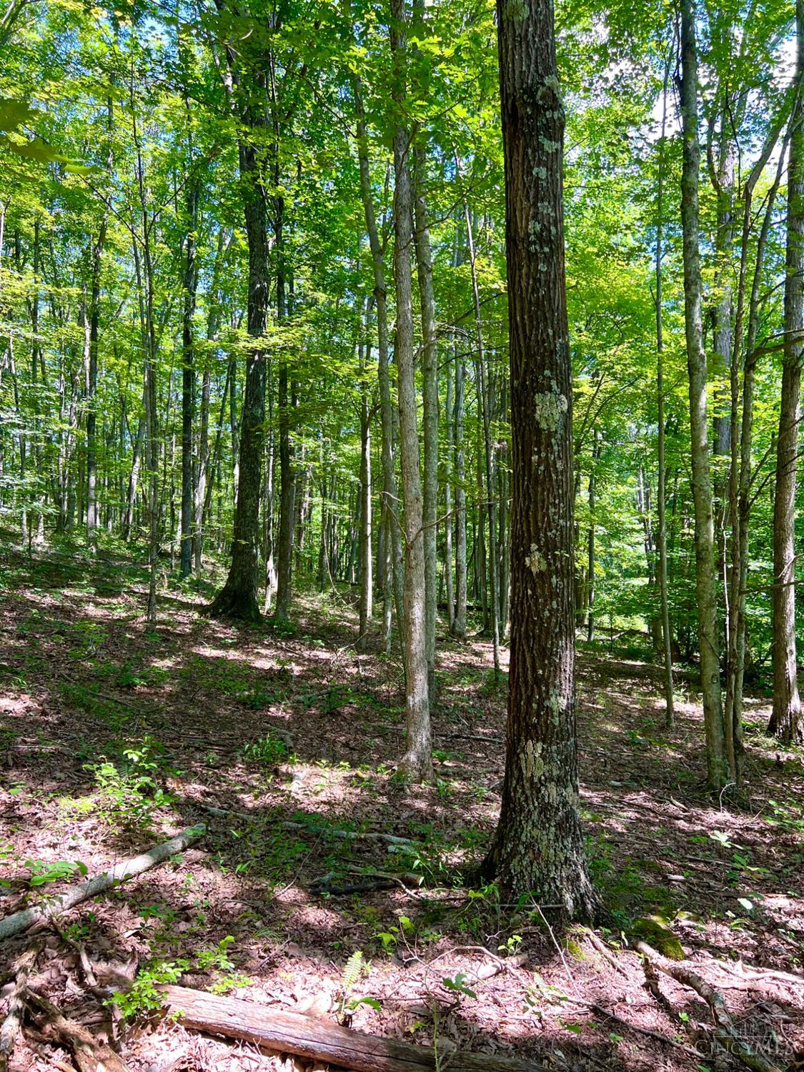 S Side Chenoweth Fork Road, Sunfish Twp, OH, 45660 — photo 61