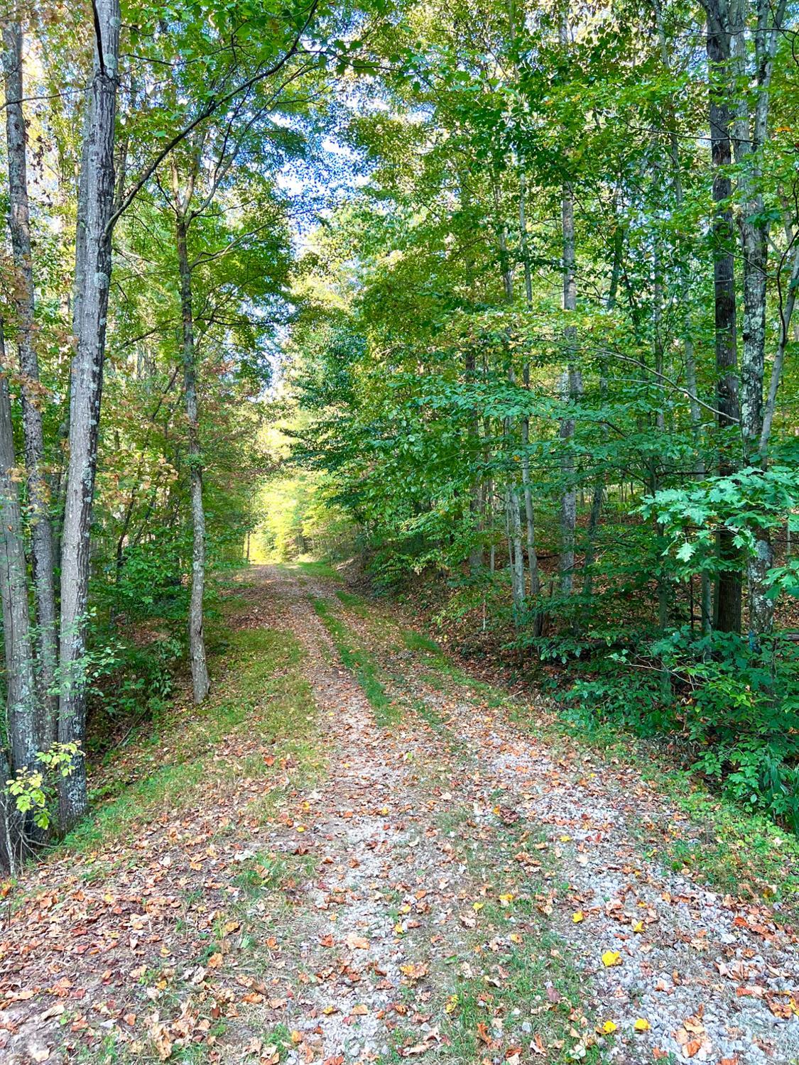 S Side Chenoweth Fork Road, Sunfish Twp, OH, 45660 — photo 87