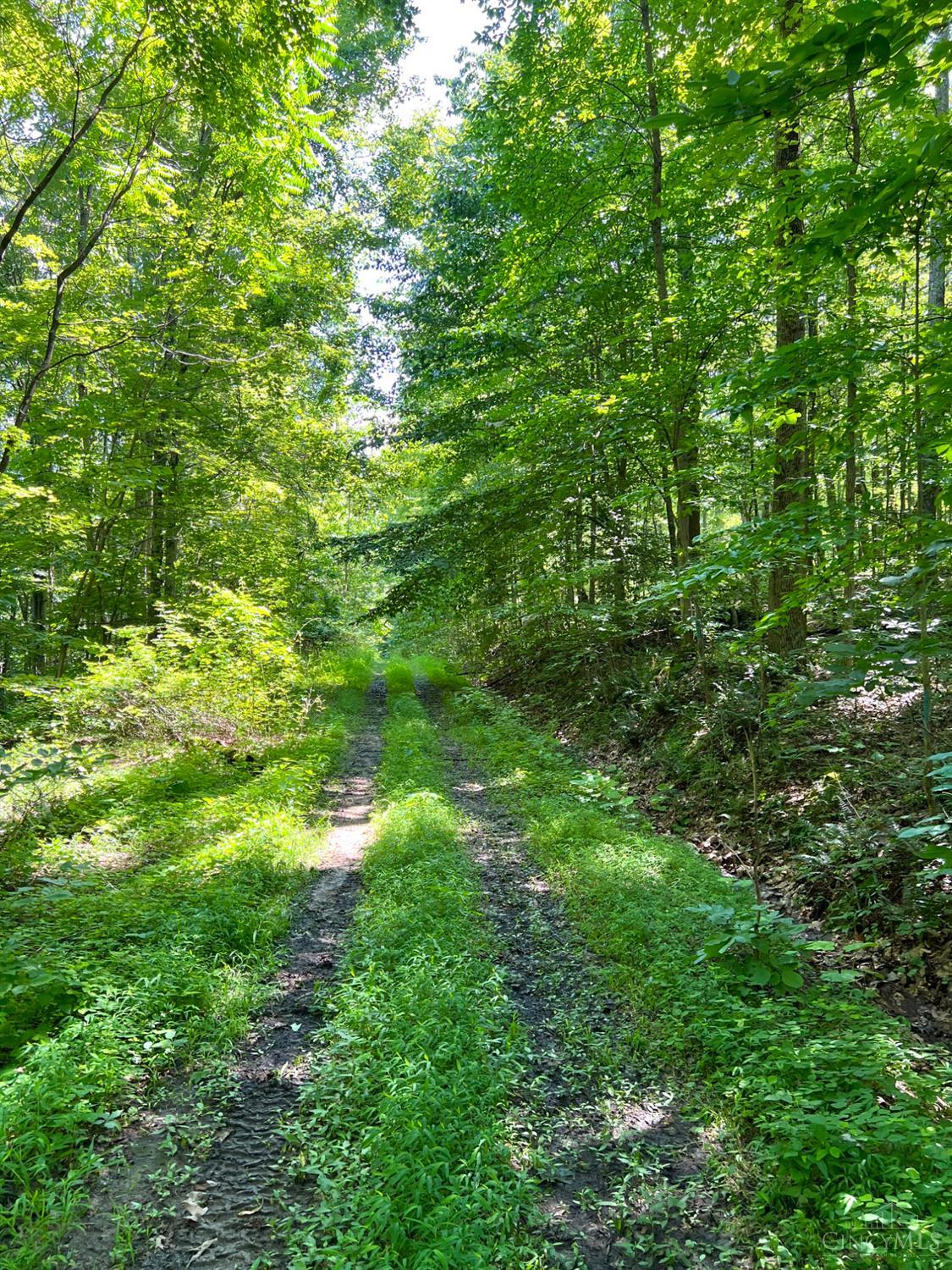 S Side Chenoweth Fork Road, Sunfish Twp, OH, 45660 — photo 63