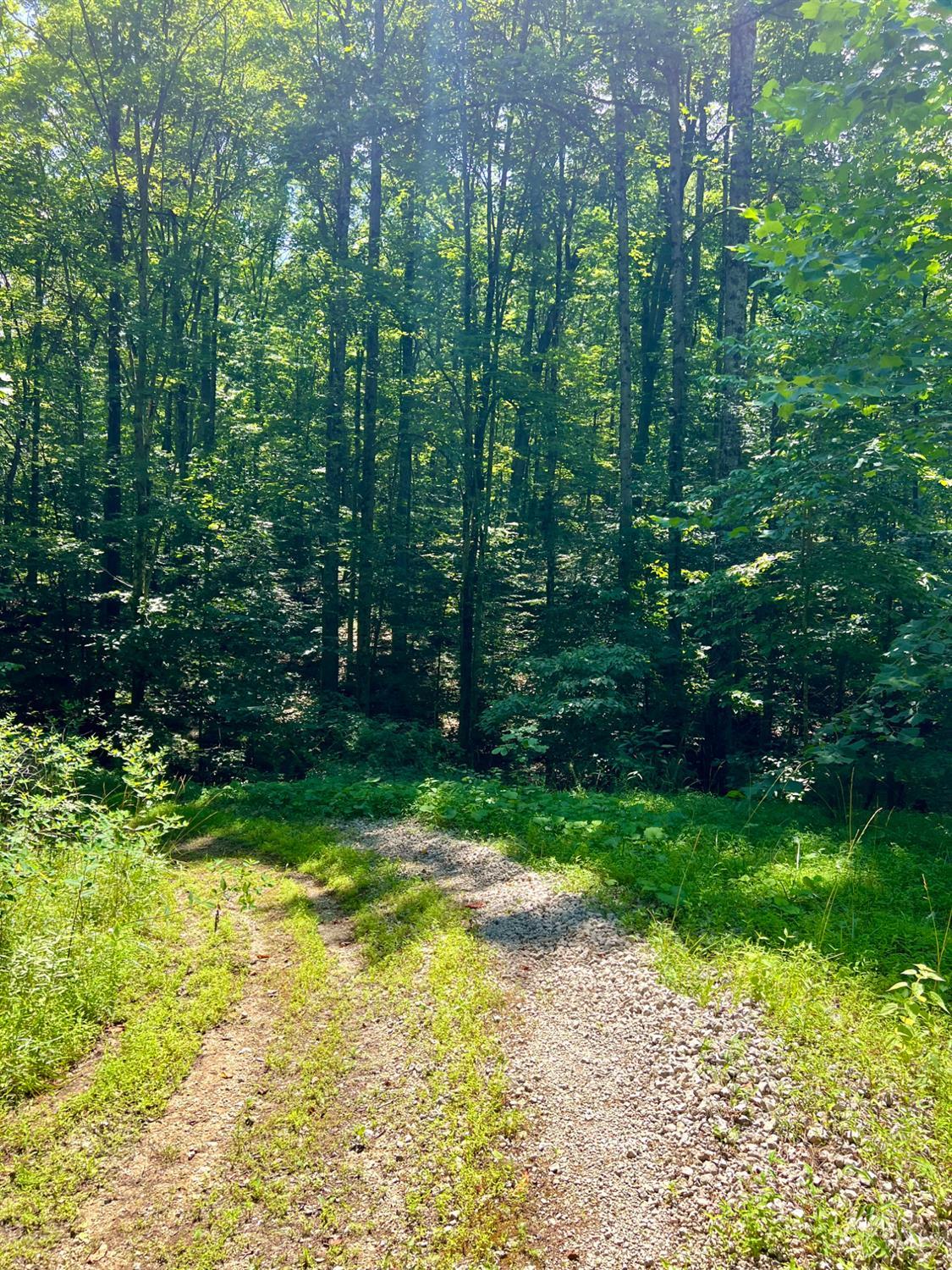 S Side Chenoweth Fork Road, Sunfish Twp, OH, 45660 — photo 62