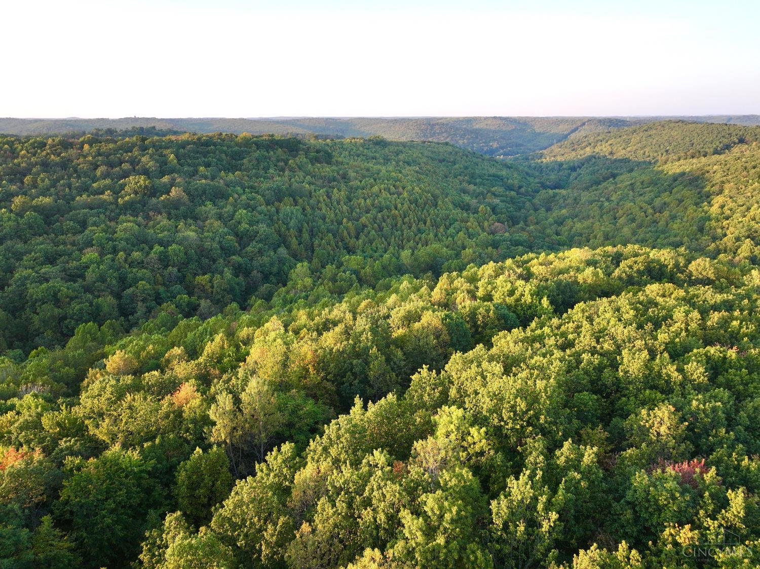 S Side Chenoweth Fork Road, Sunfish Twp, OH, 45660 — photo 56