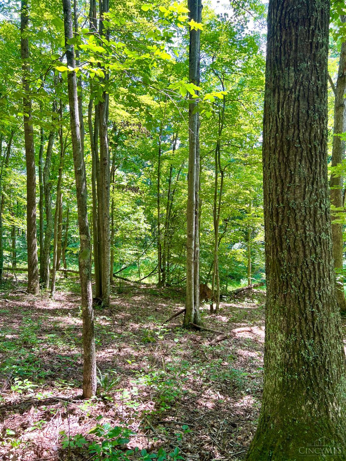 S Side Chenoweth Fork Road, Sunfish Twp, OH, 45660 — photo 50