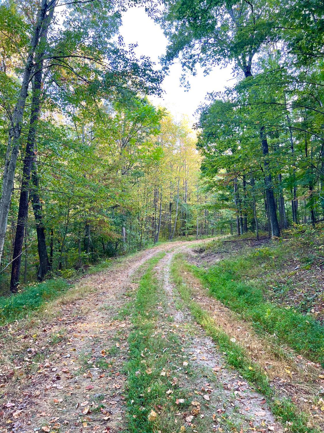 S Side Chenoweth Fork Road, Sunfish Twp, OH, 45660 — photo 11