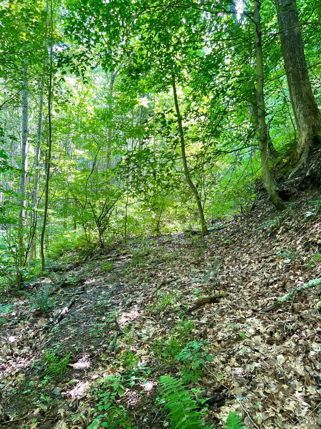 S Side Chenoweth Fork Road, Sunfish Twp, OH, 45660 — photo 81