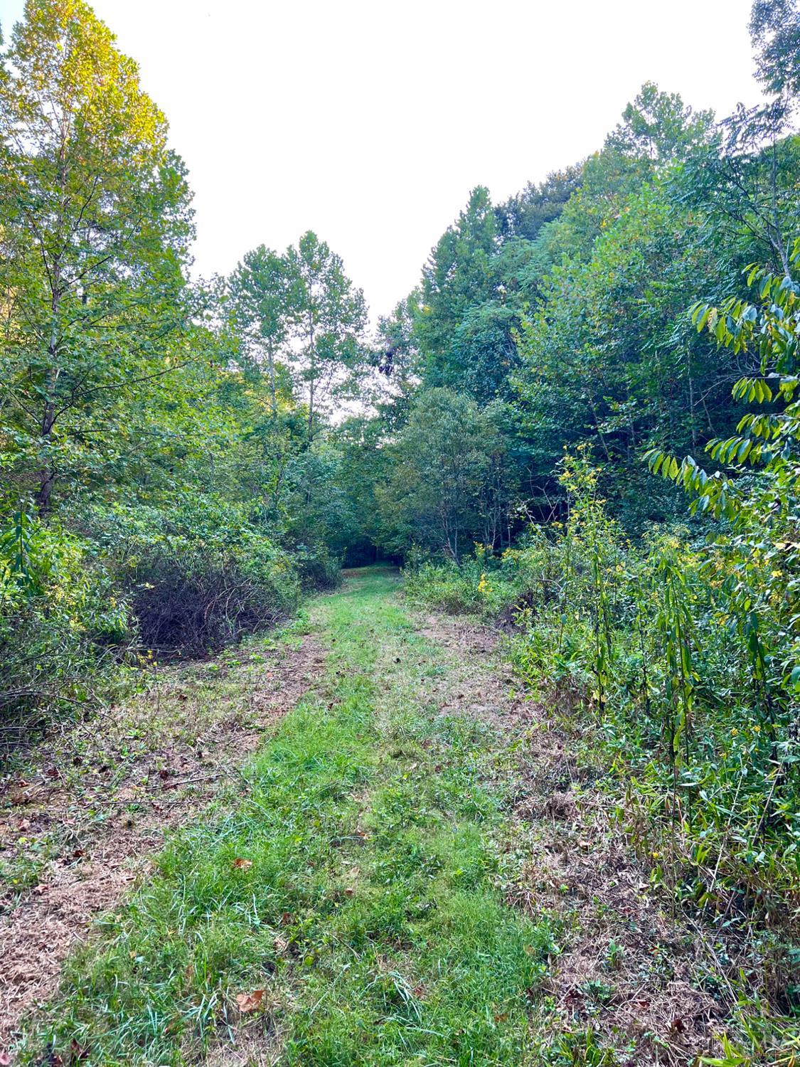 S Side Chenoweth Fork Road, Sunfish Twp, OH, 45660 — photo 91