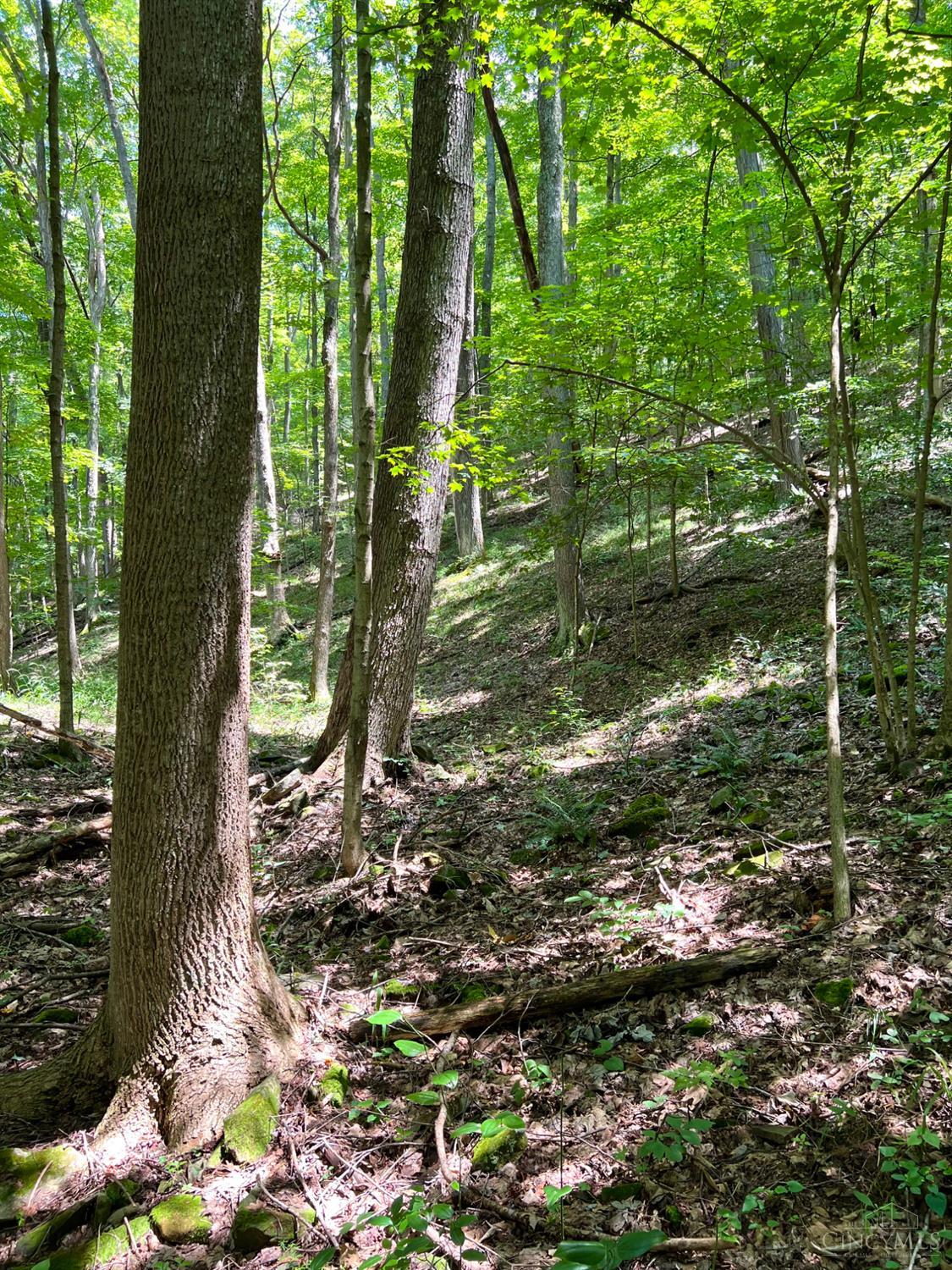 S Side Chenoweth Fork Road, Sunfish Twp, OH, 45660 — photo 75