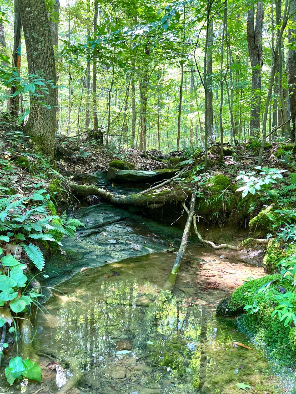 S Side Chenoweth Fork Road, Sunfish Twp, OH, 45660 — photo 14