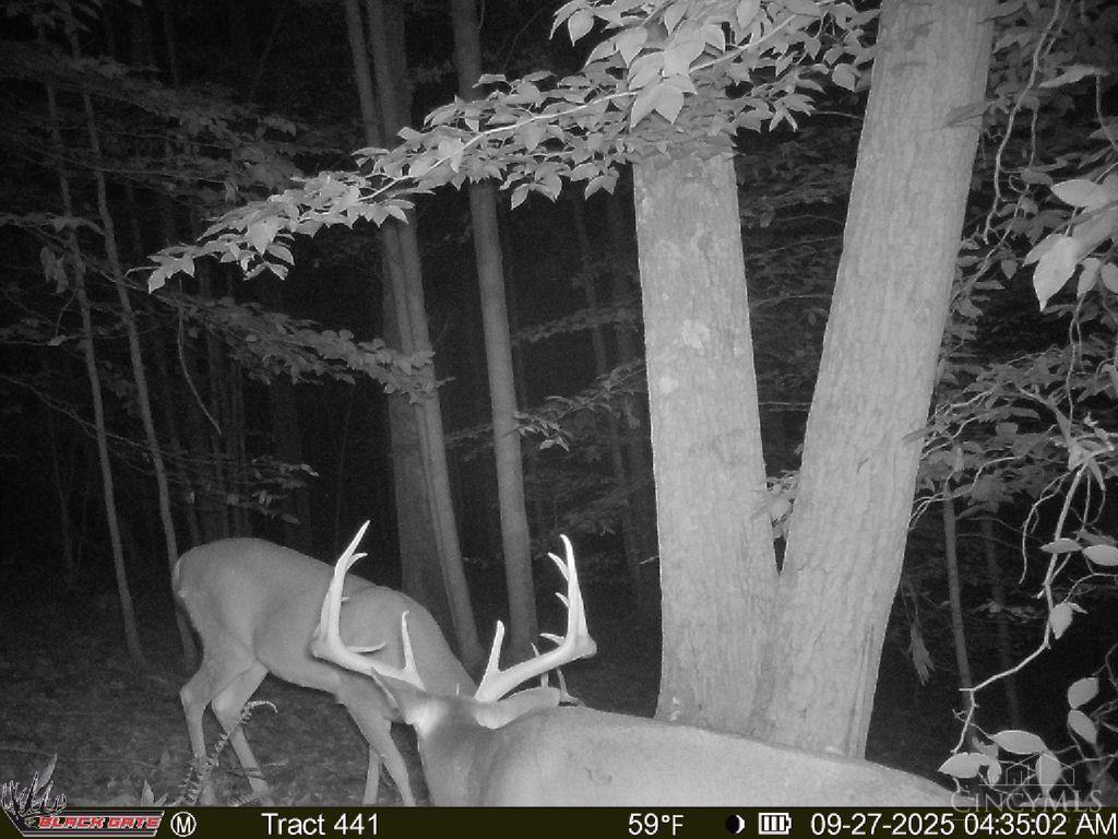 S Side Chenoweth Fork Road, Sunfish Twp, OH, 45660 — photo 12