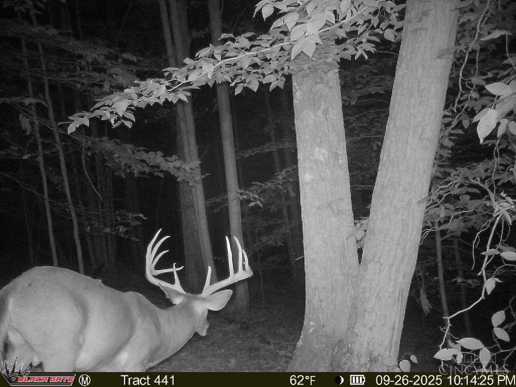 S Side Chenoweth Fork Road, Sunfish Twp, OH, 45660 — photo 13