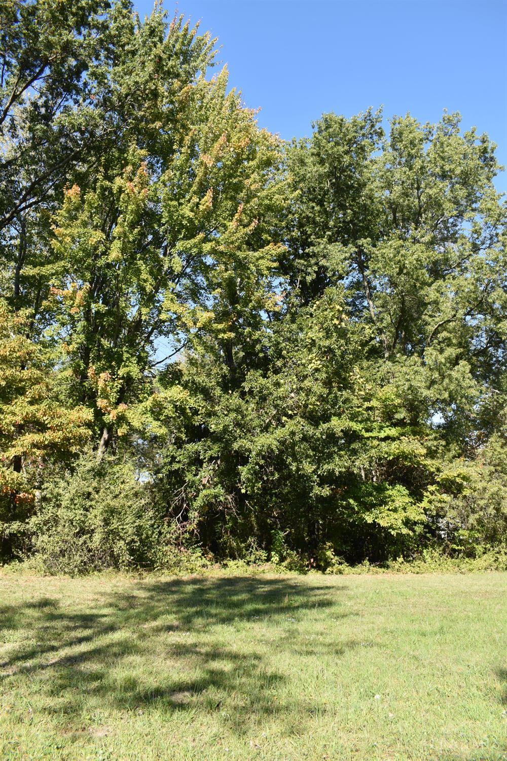 1343 Oder Drive, Perry Twp, OH, 45118 — photo 5