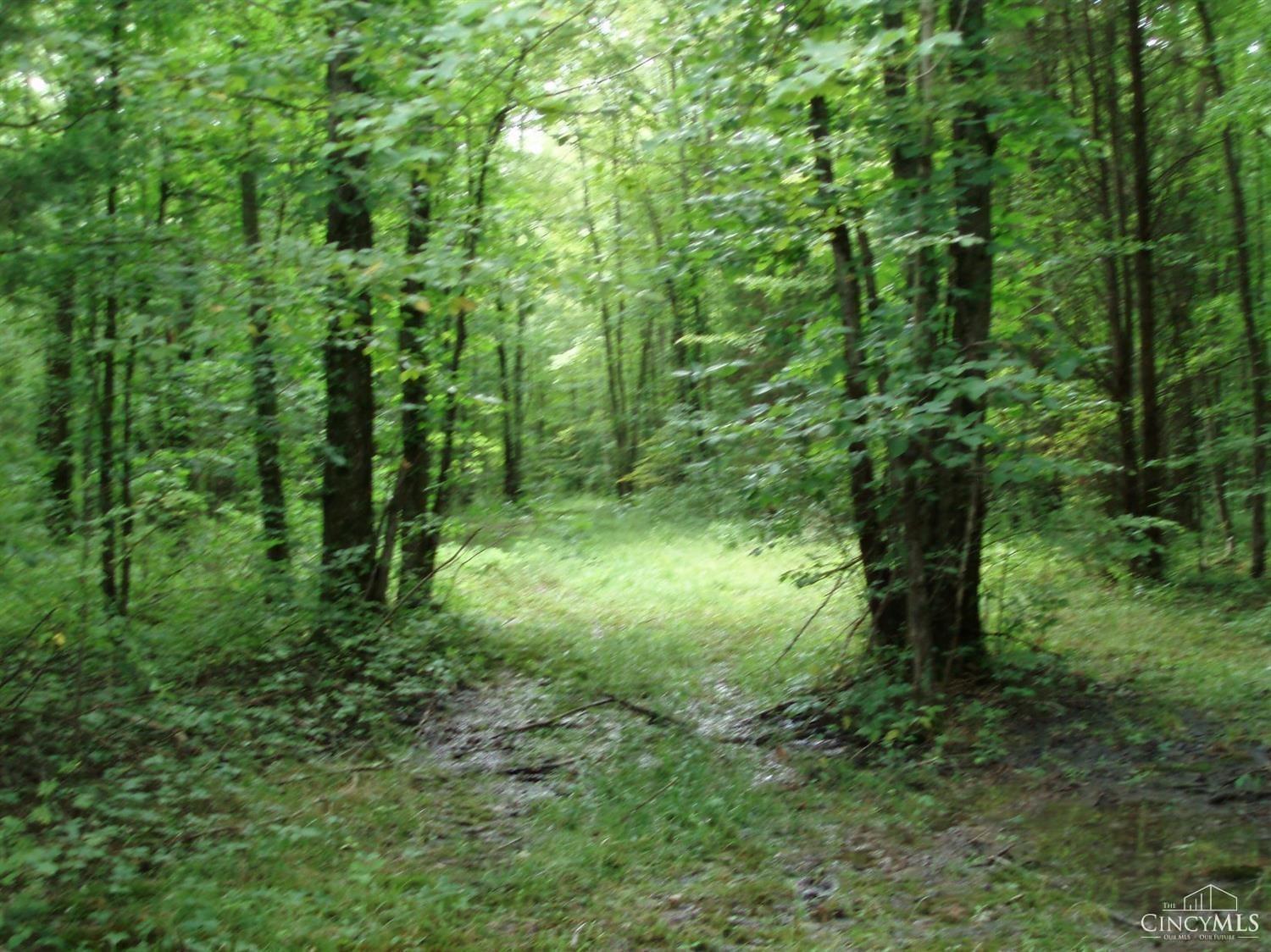 1140 Weber Road, Miami Twp, OH, 45140 — photo 23