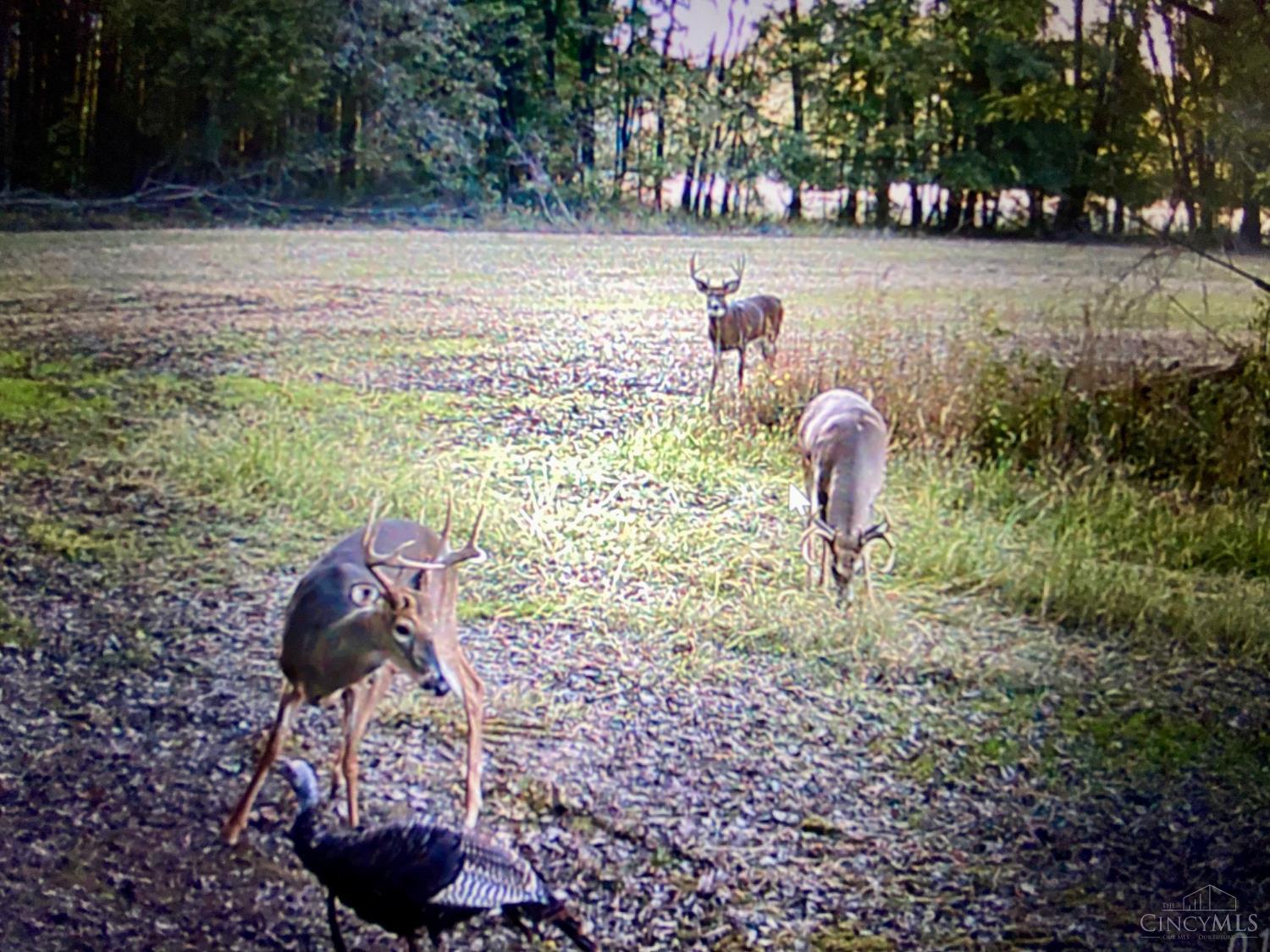 Homes for sale in Tate Twp, OH | 115 Moore Rd, Tate Twp, OH 45106 | MLS# 1860309