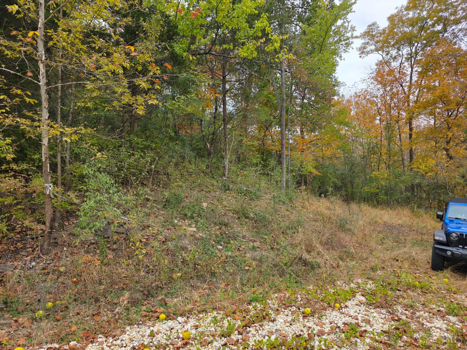 10485 New Biddinger Road, Harrison Twp, OH, 45030 — photo 5