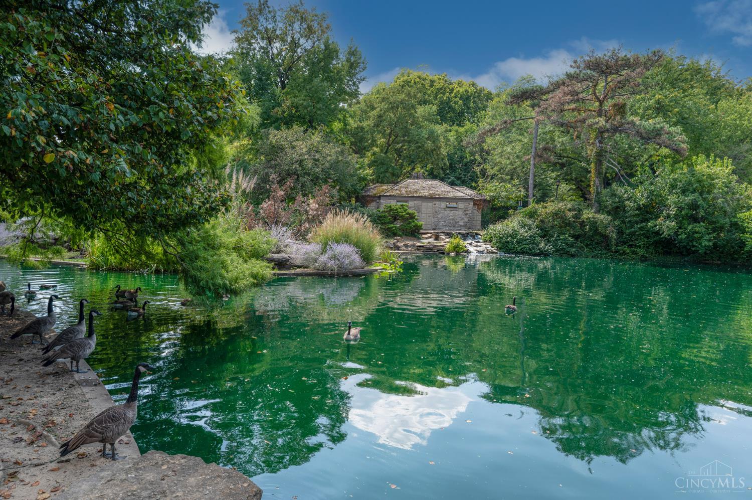 2019 Calvin Cliff Street