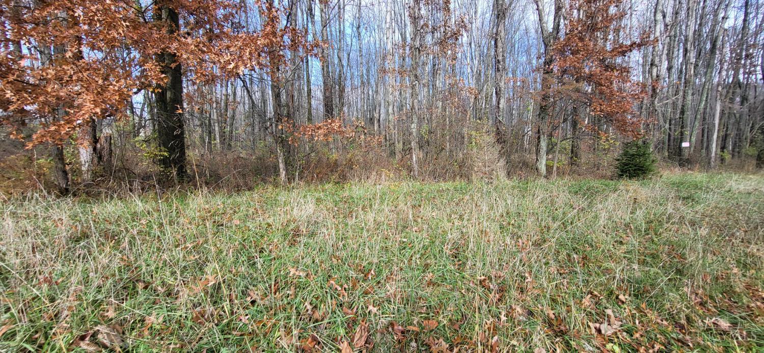 1670 Woodville Pike, Goshen Twp, OH, 45140 — photo 7
