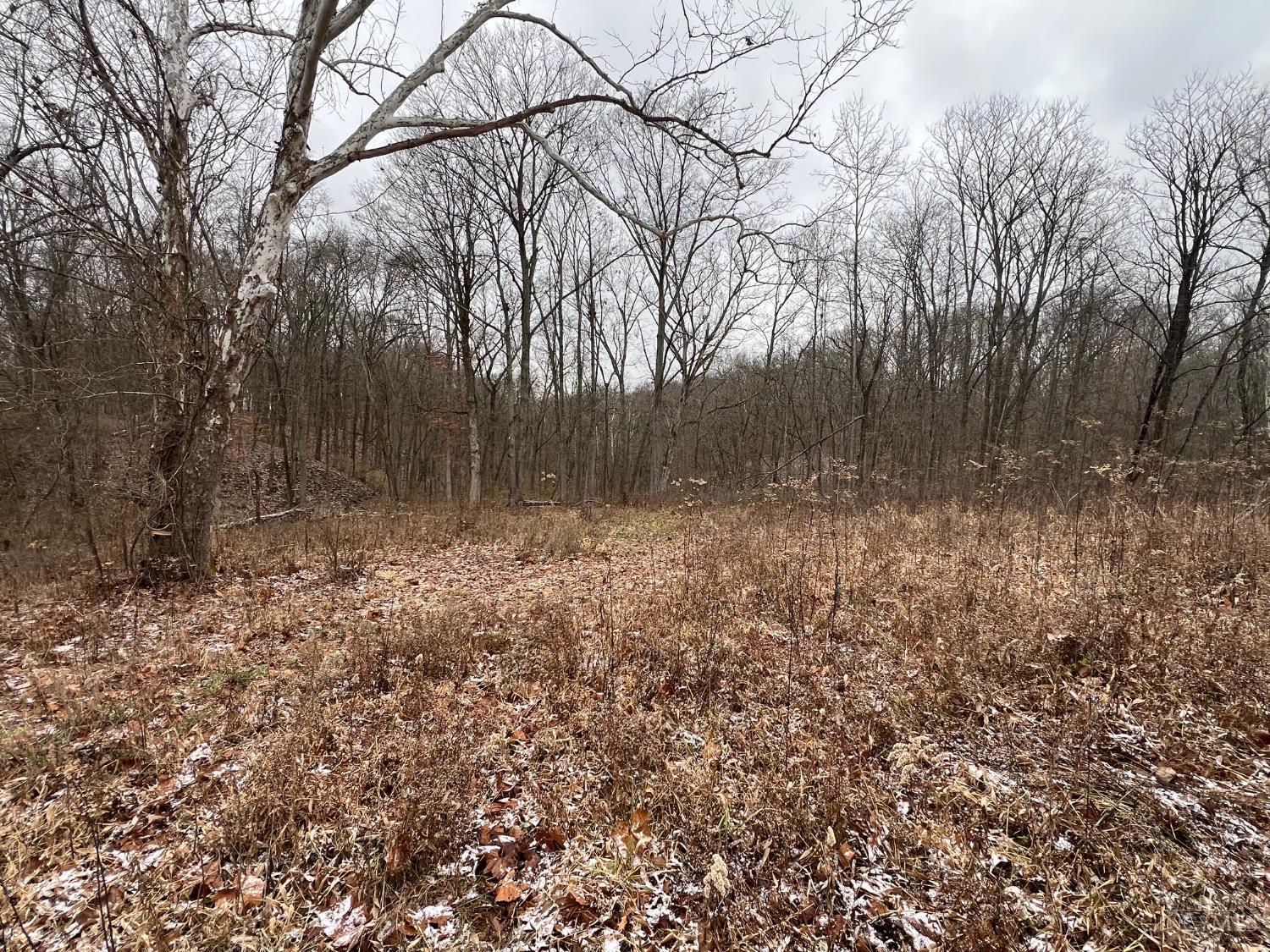 Lot #1 Middleboro Road, Washington Twp, OH, 45152 — photo 10