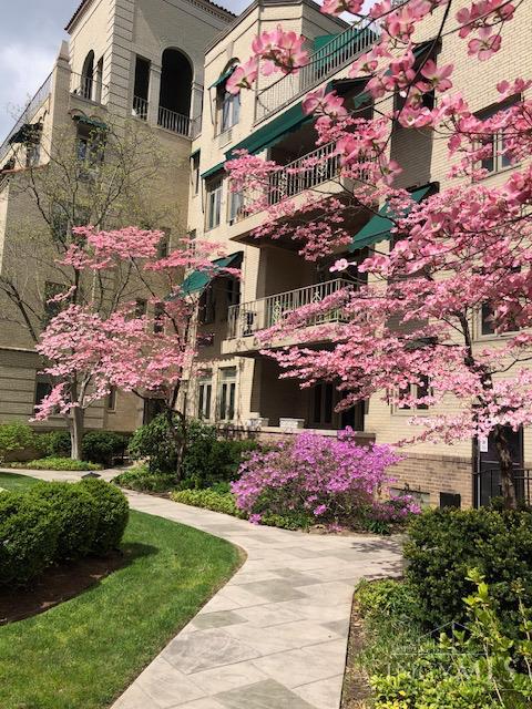 Homes for sale in Cincinnati, OH | 2380 Madison Rd #E3A, Cincinnati, OH 45208 | MLS# 1864709