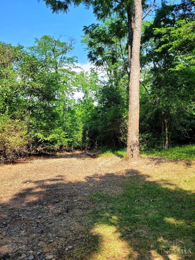 7231 Watkins Starkey Road, Harlan Twp, OH, 45107 — photo 3