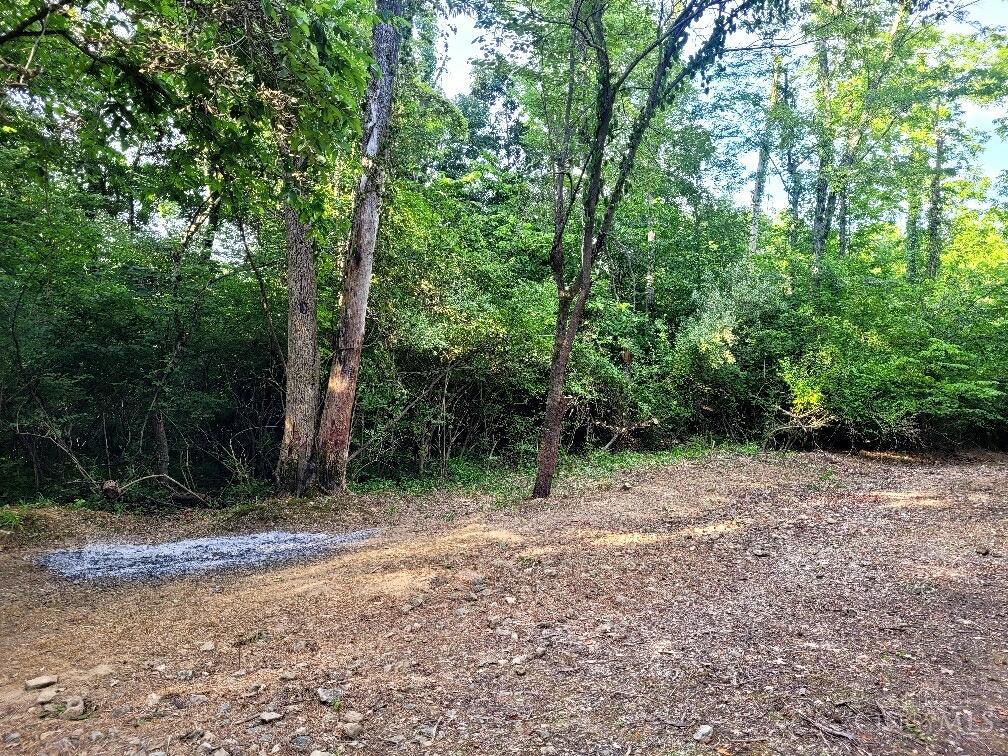 7231 Watkins Starkey Road, Harlan Twp, OH, 45107 — photo 2