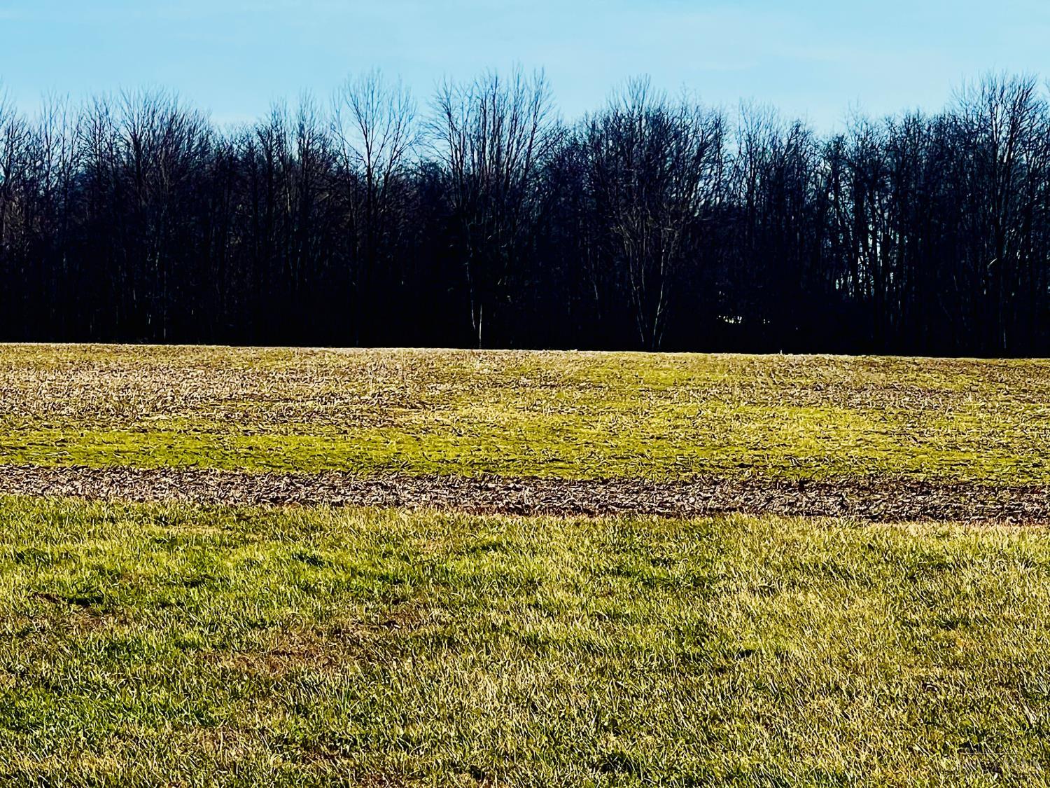 Homes for sale in Lewis Twp, OH | 1420 Rose Hill Rd, Lewis Twp, OH 45130 | MLS# 1864204