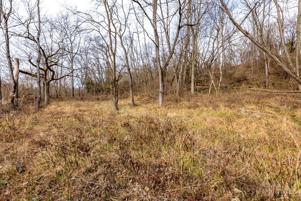 Loveland Madeira Road, Loveland, OH, 45140 — photo 6