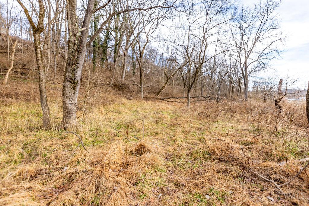 Loveland Madeira Road, Loveland, OH, 45140 — photo 7