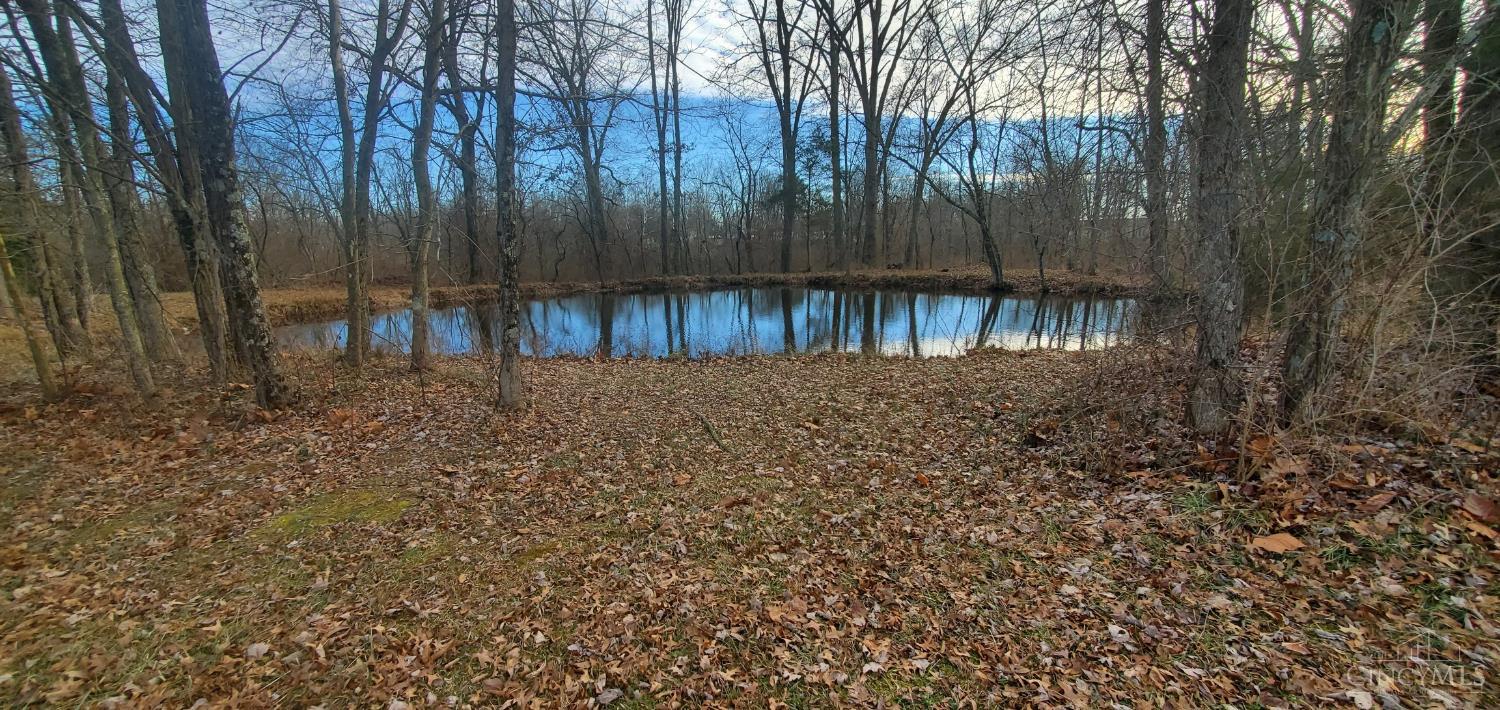 1202 Yankeetown Road, Clark Twp, OH, 45130 — photo 7