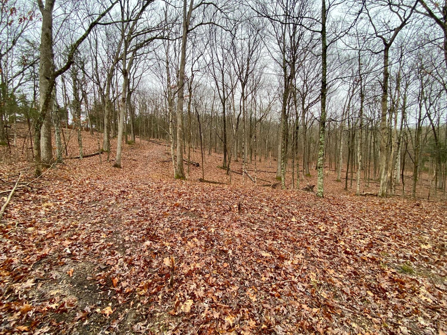 435 Rolling Woods Drive, West Union, OH, 45693 — photo 7