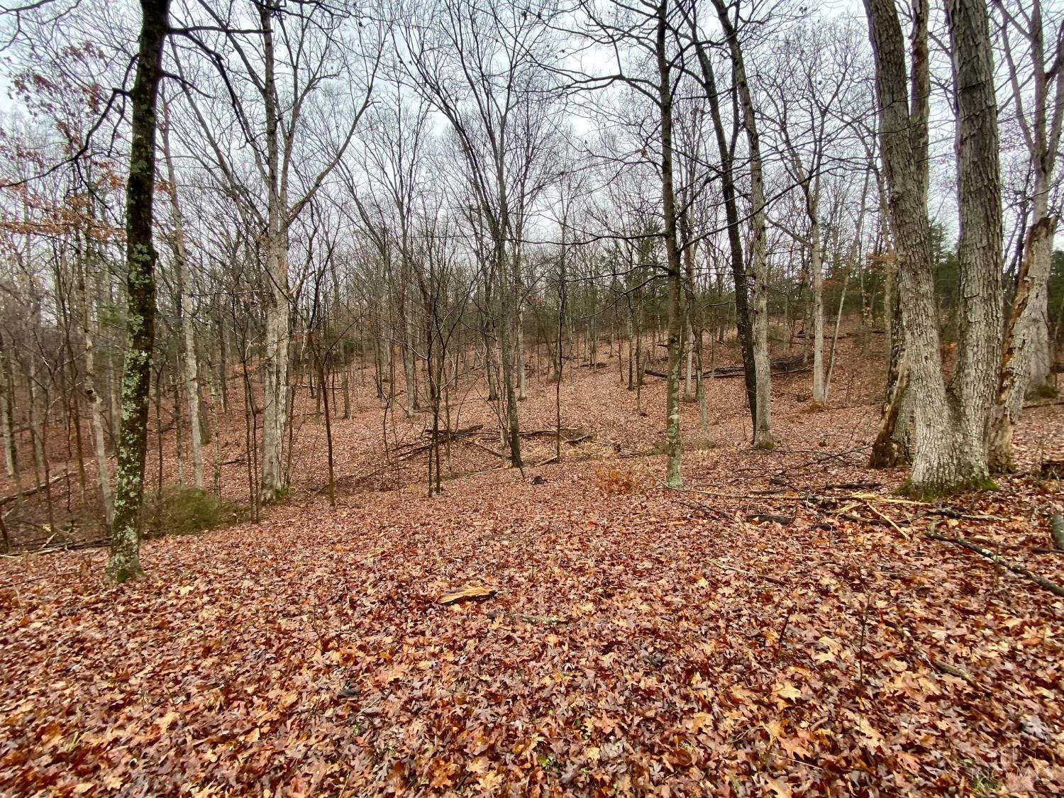 435 Rolling Woods Drive, West Union, OH, 45693 — photo 6