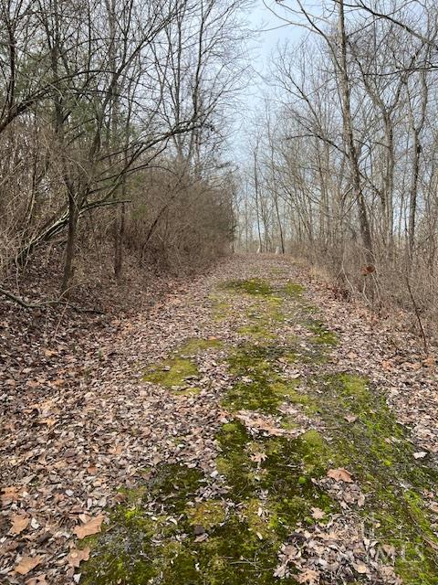 4 Grants Run Road, Williamsburg Twp, OH, 45153 — photo 4