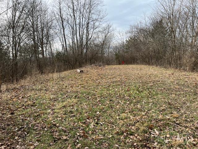 4 Grants Run Road, Williamsburg Twp, OH, 45153 — photo 5