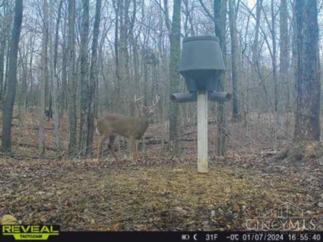 Homes for sale in Peebles, OH | 630 Dawn Ln, Peebles, OH 45660 | MLS# 1866983