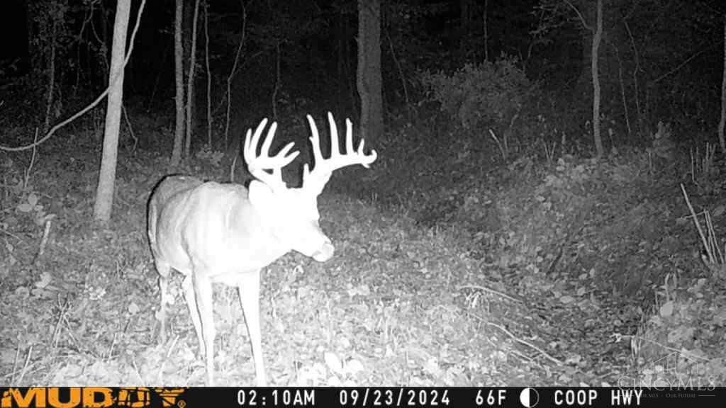 Homes for sale in Connersville In, IN | W Co Rd 350 S, Connersville In, IN 47331 | MLS# 1867279