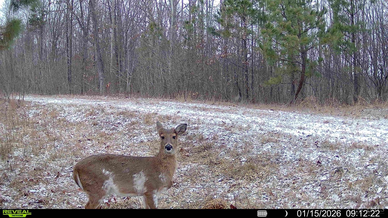 St Rt 348, Brushcreek Twp, OH, 45657 — photo 30