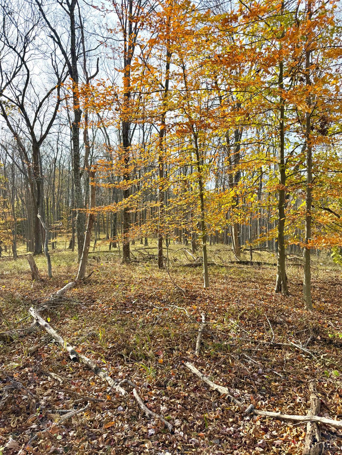 S Side Chenoweth Fork Road, Sunfish Twp, OH, 45660 — photo 45