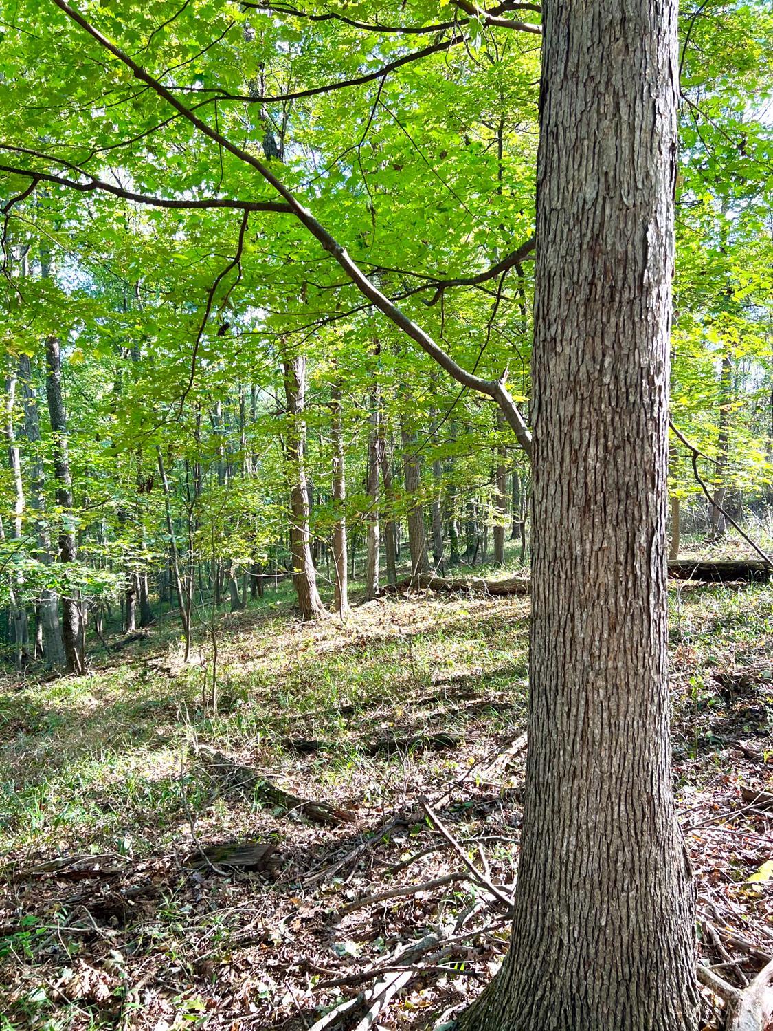 S Side Chenoweth Fork Road, Sunfish Twp, OH, 45660 — photo 17