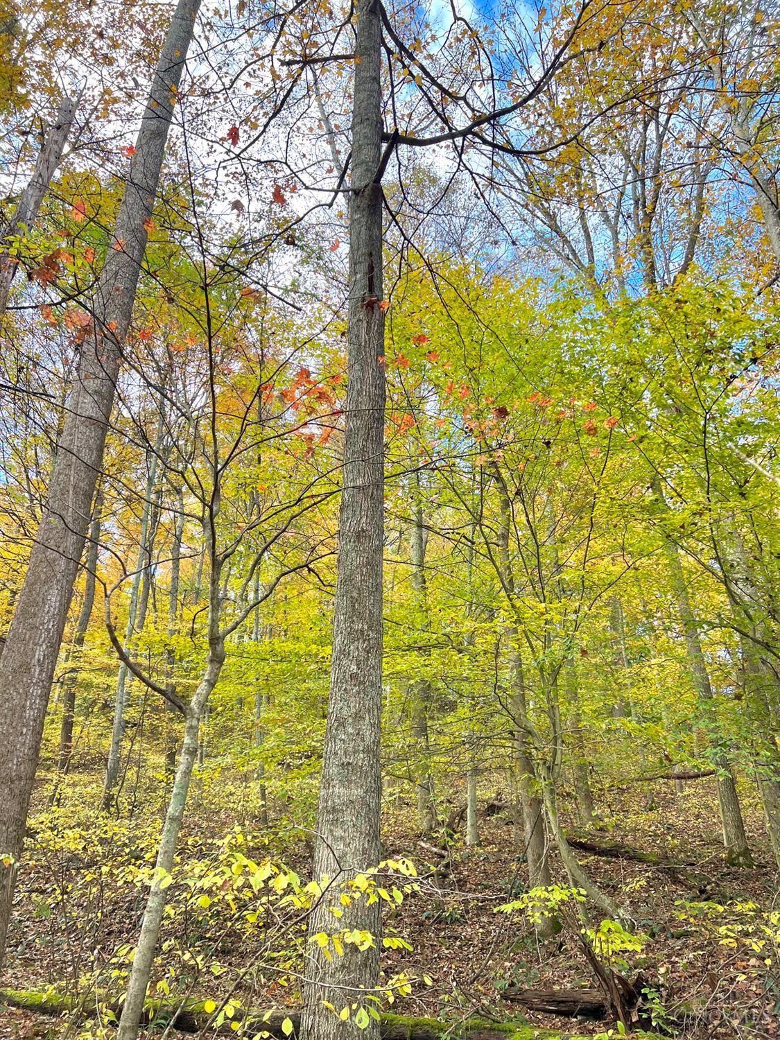 S Side Chenoweth Fork Road, Sunfish Twp, OH, 45660 — photo 37