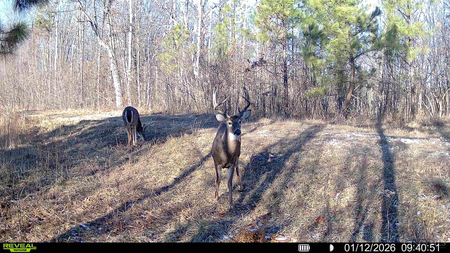 St Rt 348, Brushcreek Twp, OH, 45657 — photo 27